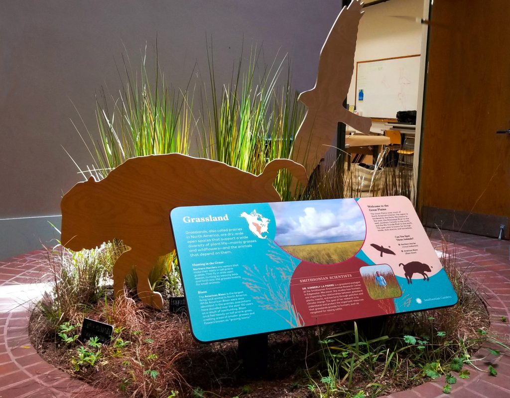A brick circle containing an exhibit panel surrounded by replicas of plants and animals, including cutouts in the shape of a bison and a bird