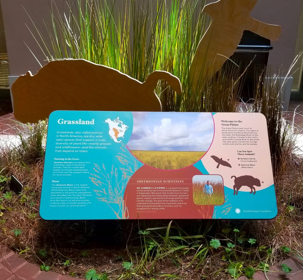 A brick circle containing an exhibit panel surrounded by replicas of plants and animals, including cutouts in the shape of a bison and a bird