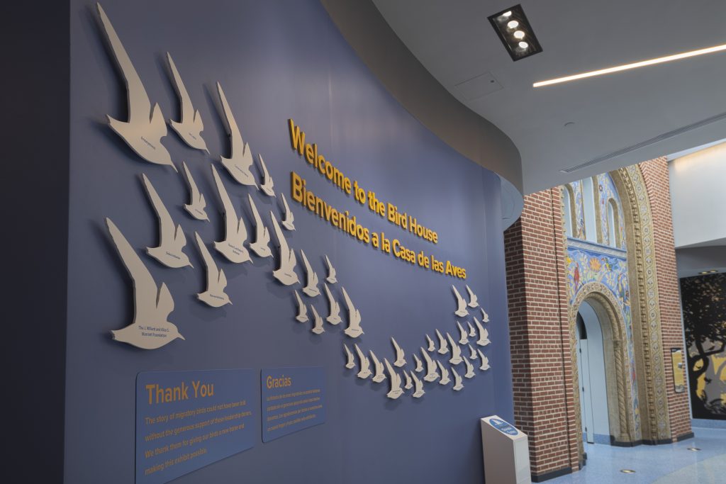 Dimensional letters and cutouts of birds on the donor wall